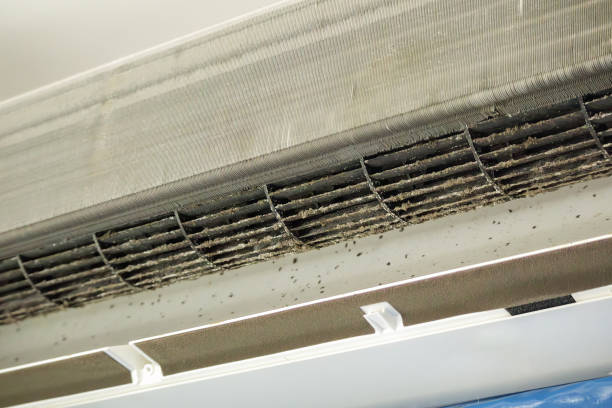 Best Local Air Duct Cleaning Services  in Loma Ri, CA