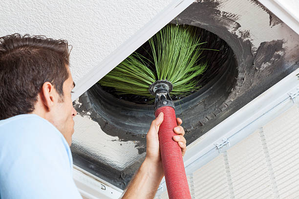 Best Affordable Air Duct Cleaning  in Loma Ri, CA